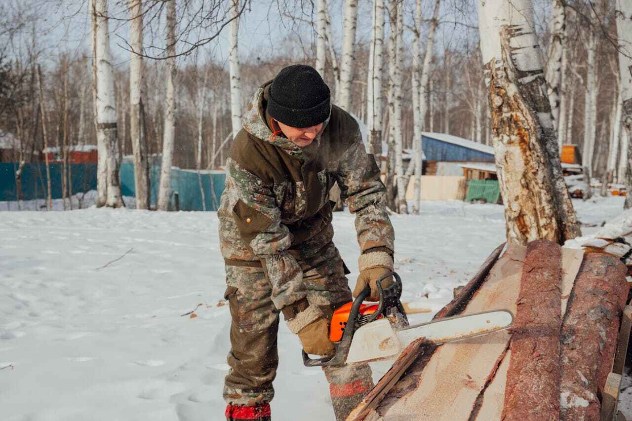 Tree Branch Trimming